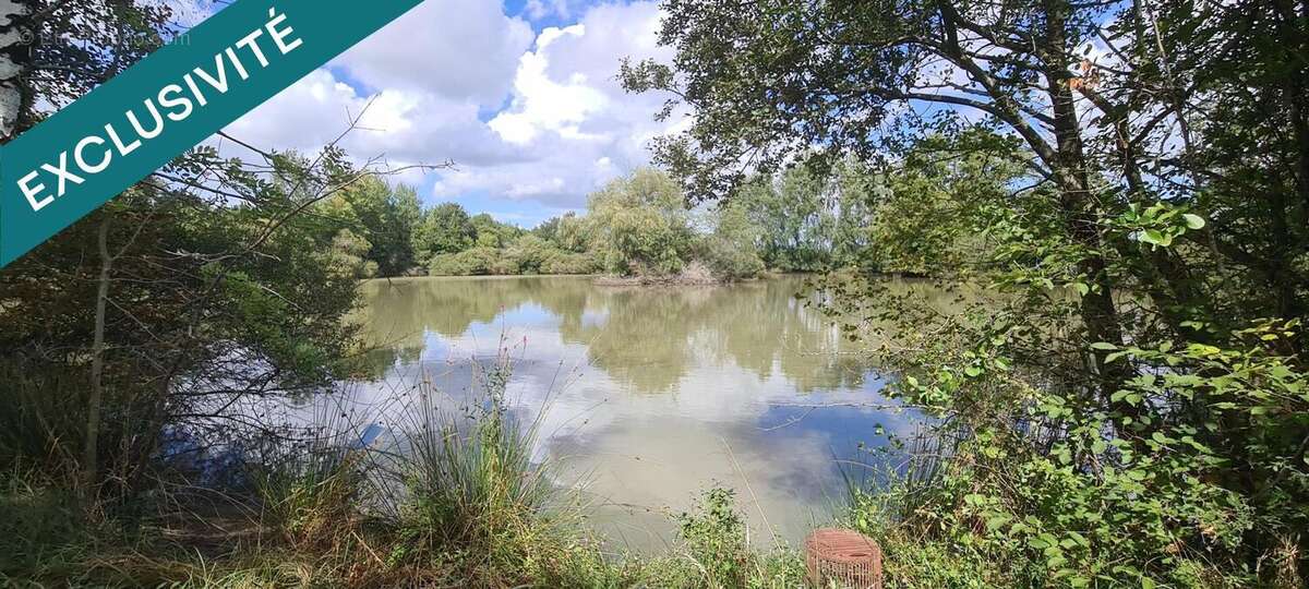 Photo 5 - Terrain à LA PEROUILLE