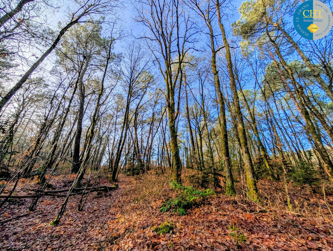 Terrain à BEIGNON