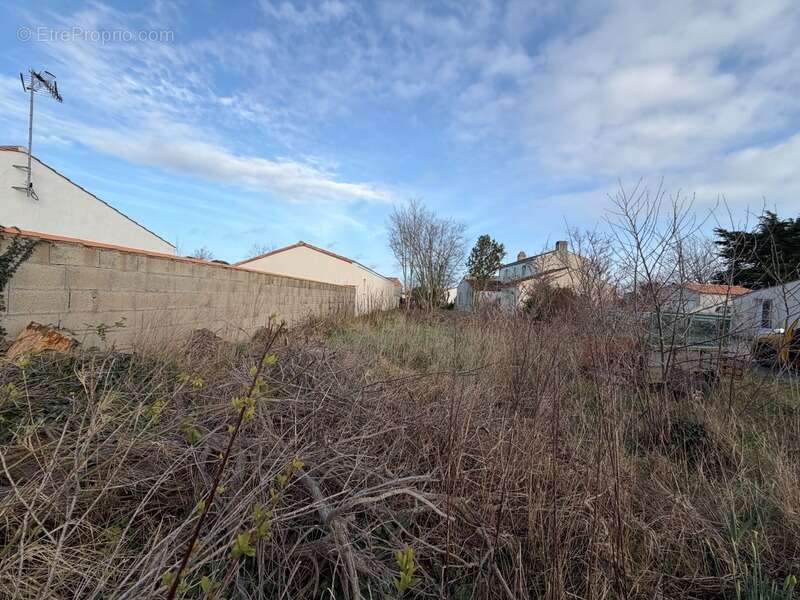 Terrain à LA BARRE-DE-MONTS
