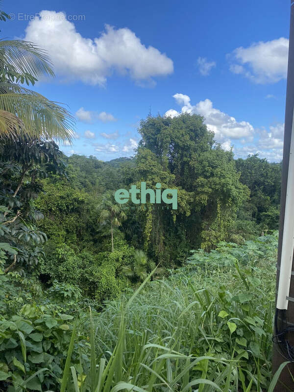 Terrain à LE GOSIER