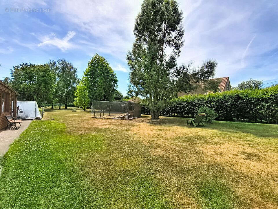 Plain-pied individuel Hergnies 5 pièces 126 m2 potentiel 216 m² - photo 12