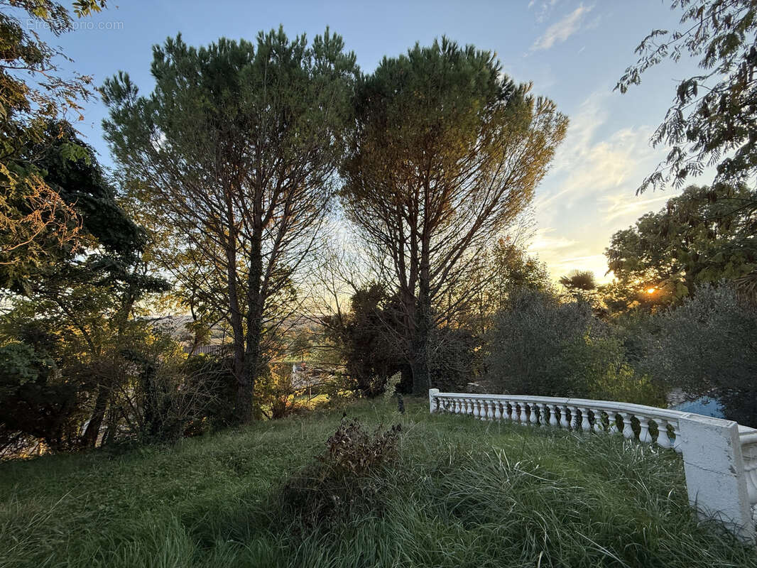 A Vendre 45mn de Toulouse superbe Villa piscine pool house garage 45m2 - photo 3