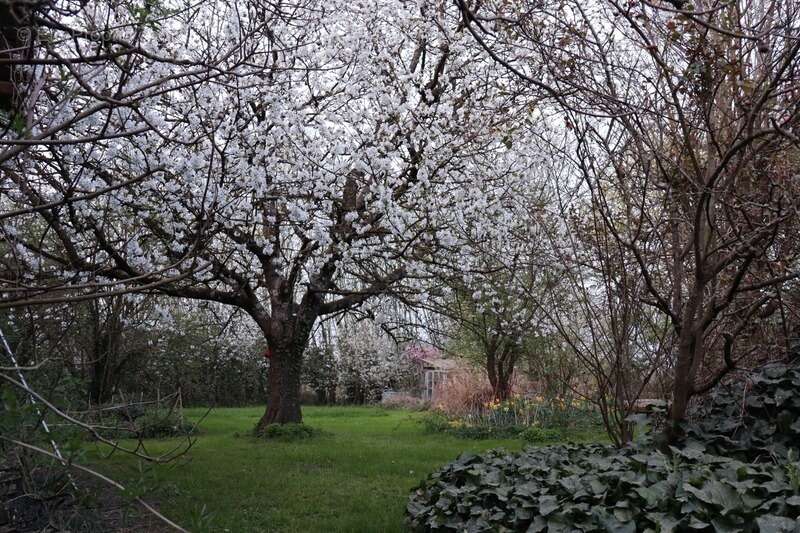 Maison à MONTREVEL-EN-BRESSE