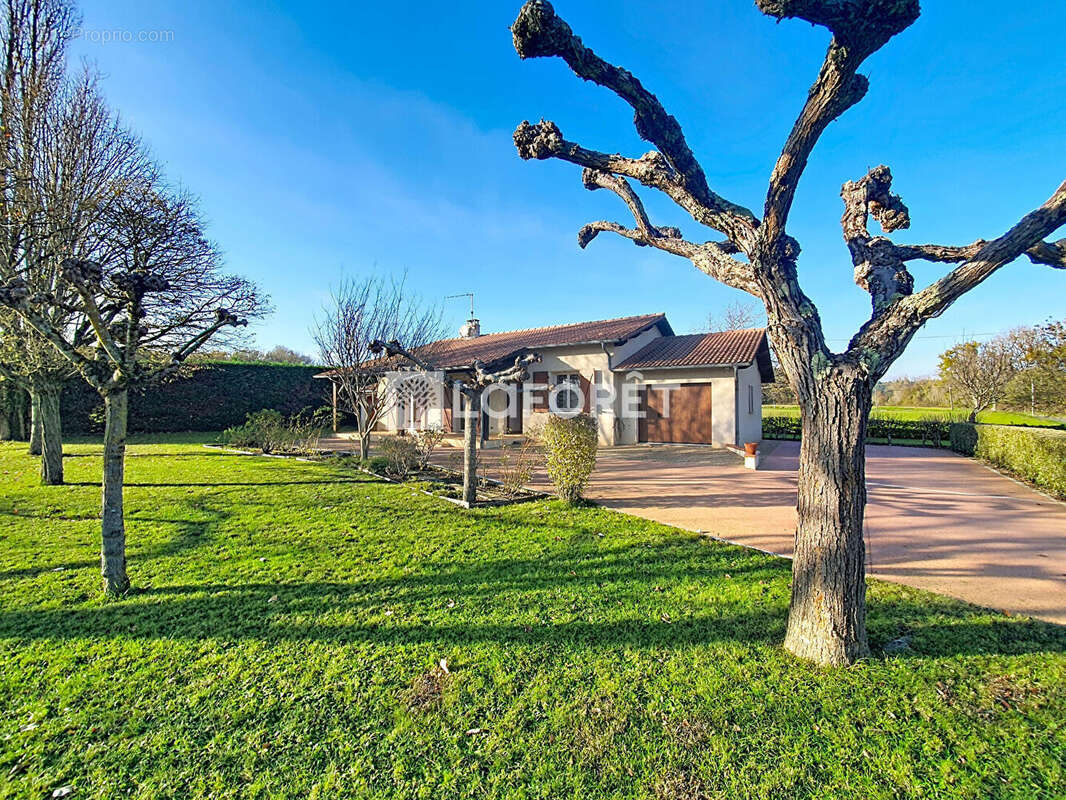Maison à MONCLAR-DE-QUERCY