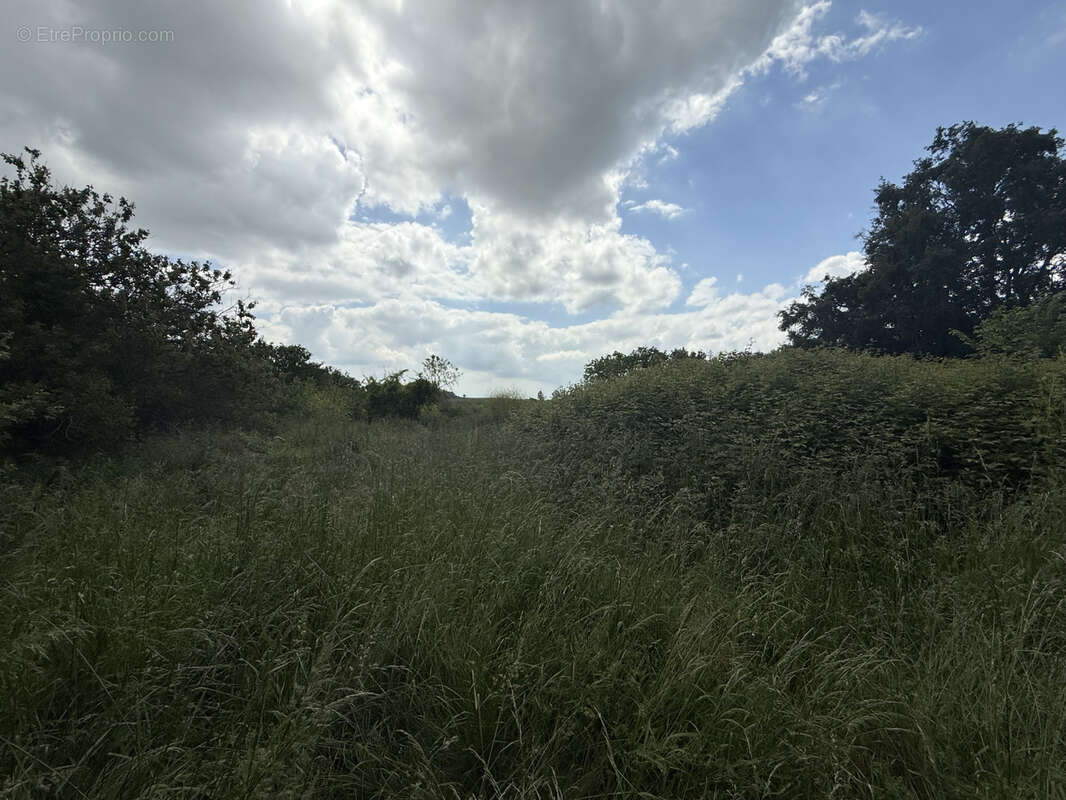 Maison à L&#039;ISLE-EN-DODON