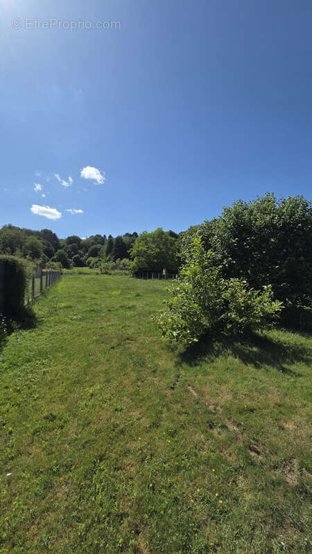 Maison avec un grand potentiel sur longeville-les-saint-avold - photo 14