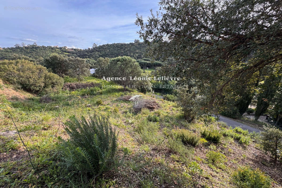 Terrain à LES ISSAMBRES