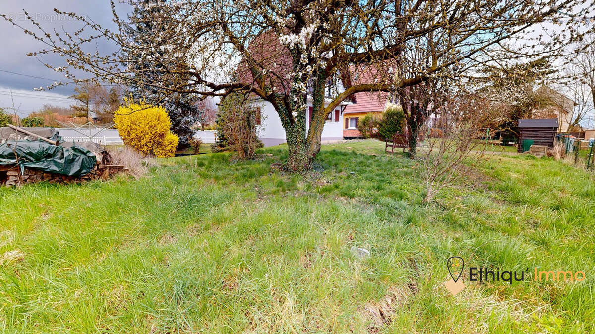 Maison à TRUCHTERSHEIM