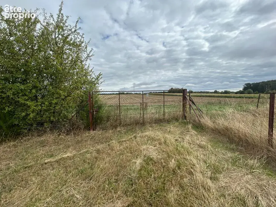 Maison  de 136M2 avec dépendances, pâture et 8000M2  de terrainà Versigny - photo 16