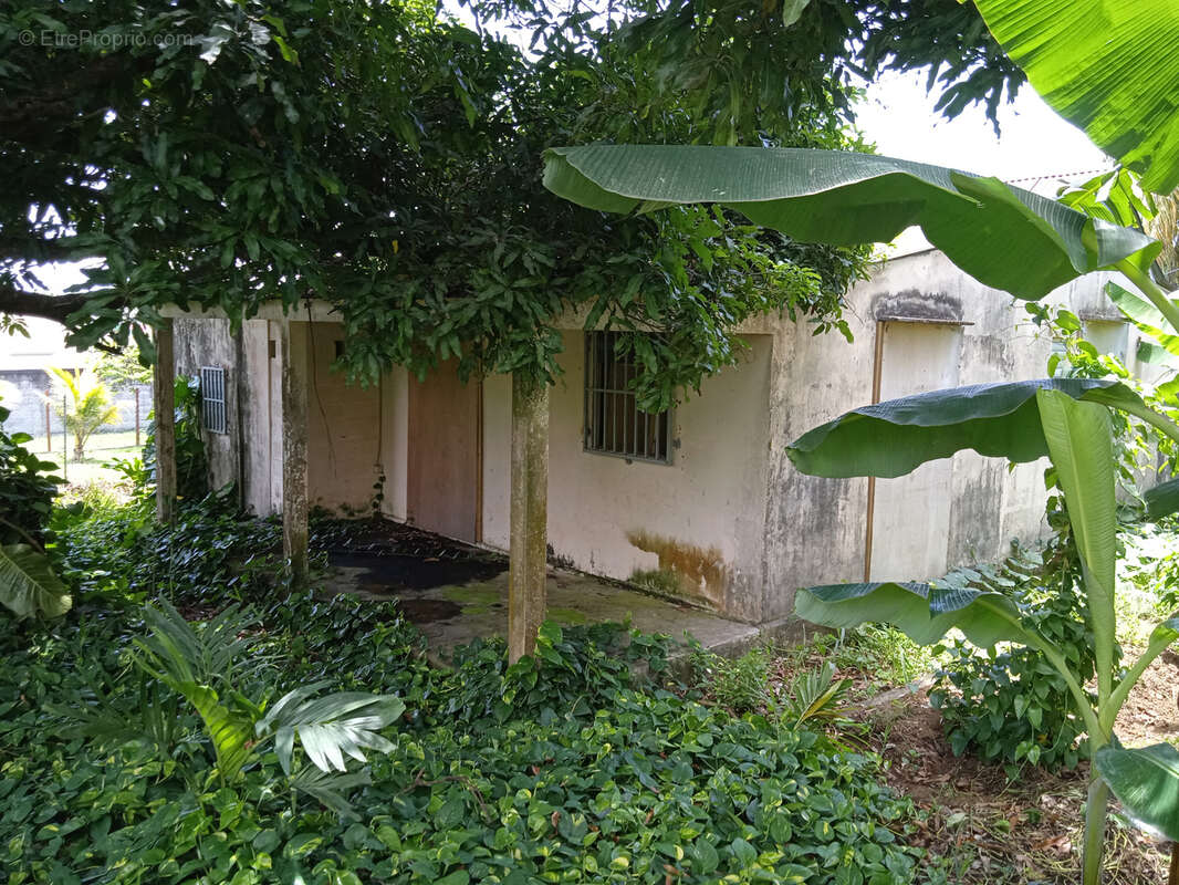 Terrain à CAPESTERRE-BELLE-EAU