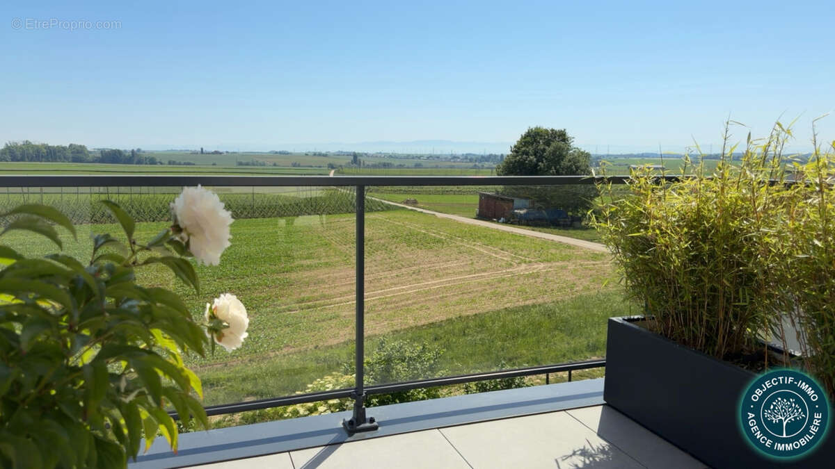 Appartement à TRUCHTERSHEIM