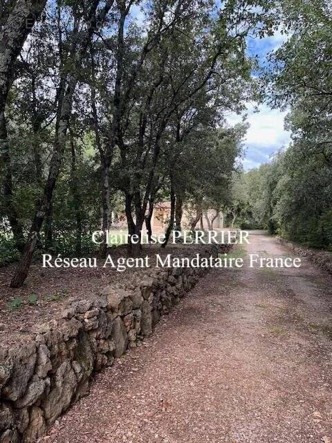 Maison contemporaine de plain-pied sur grande parcelle - photo 3