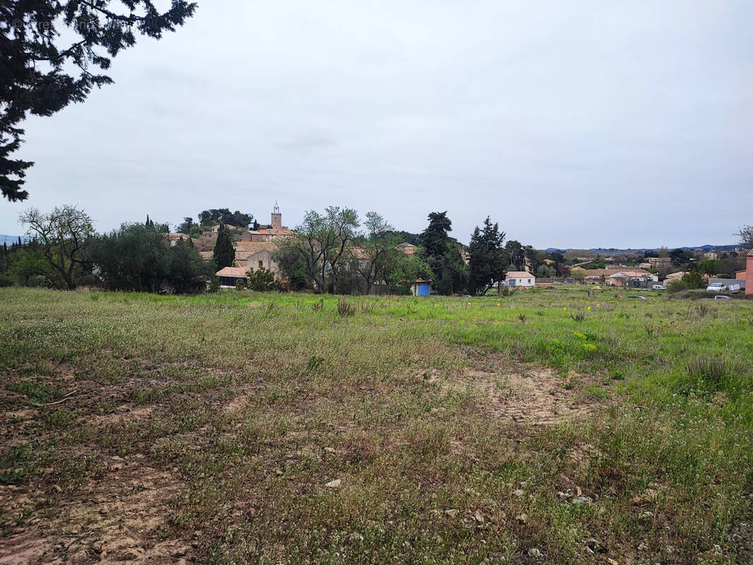 Terrain à CASTELNAU-D'AUDE
