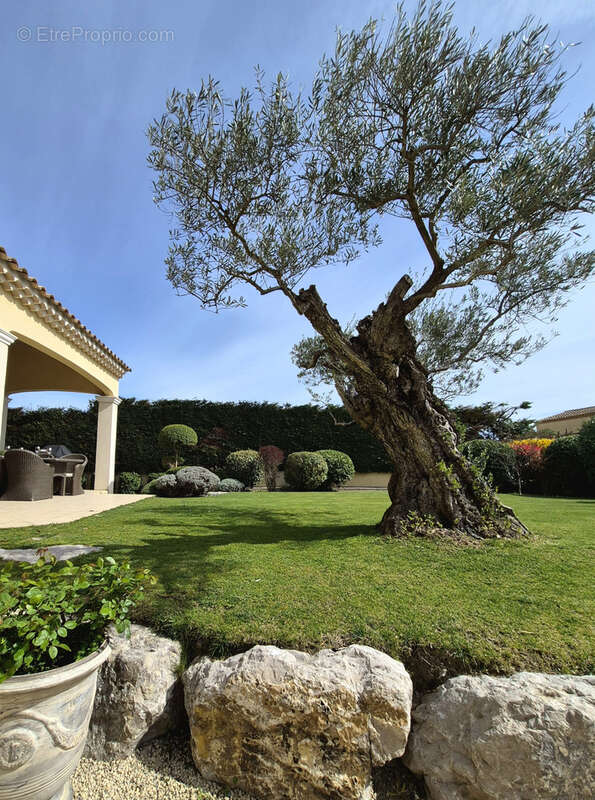 Maison à MORIERES-LES-AVIGNON