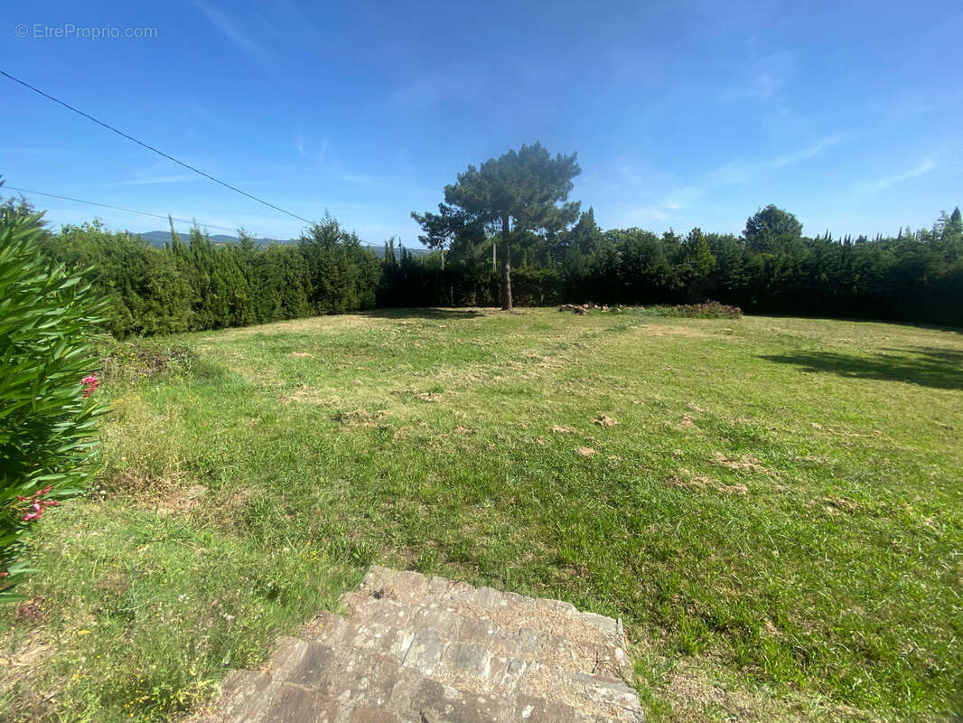 RARE À CÉRET -Fort potentiel-Terrain constructible de 2000 m2 avec certificat d’urbanisme délivré. - photo 6