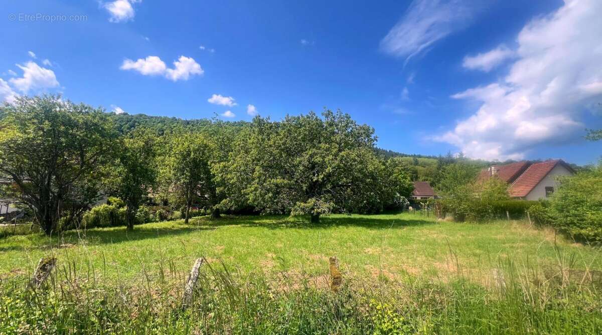 Terrain à ORNANS