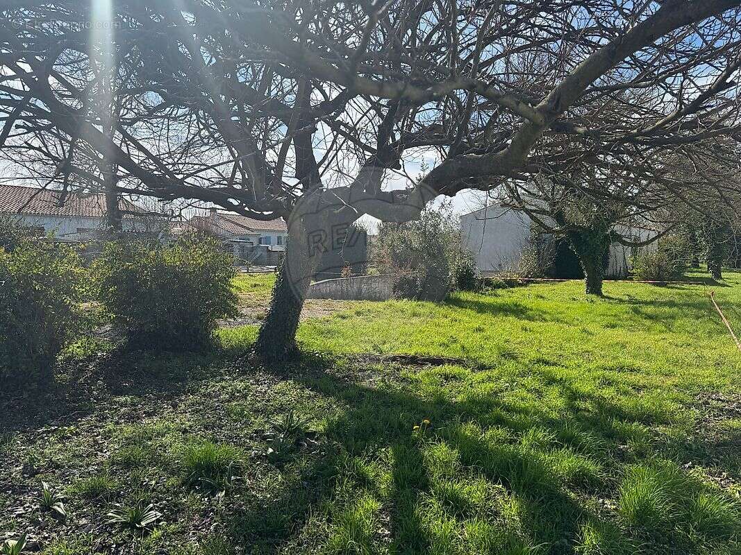 Terrain à LES MATHES