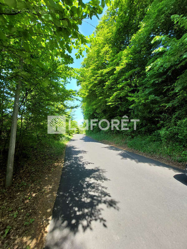 Terrain à VILLERUPT