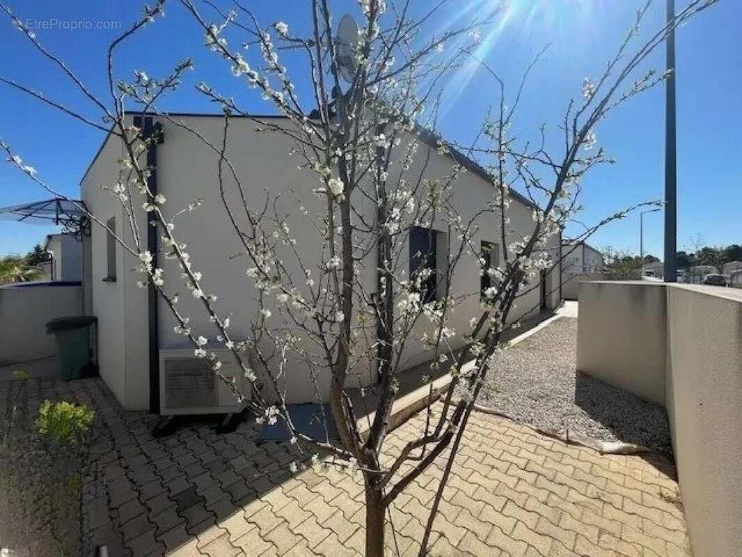 Photo 2 - Maison à BEZIERS