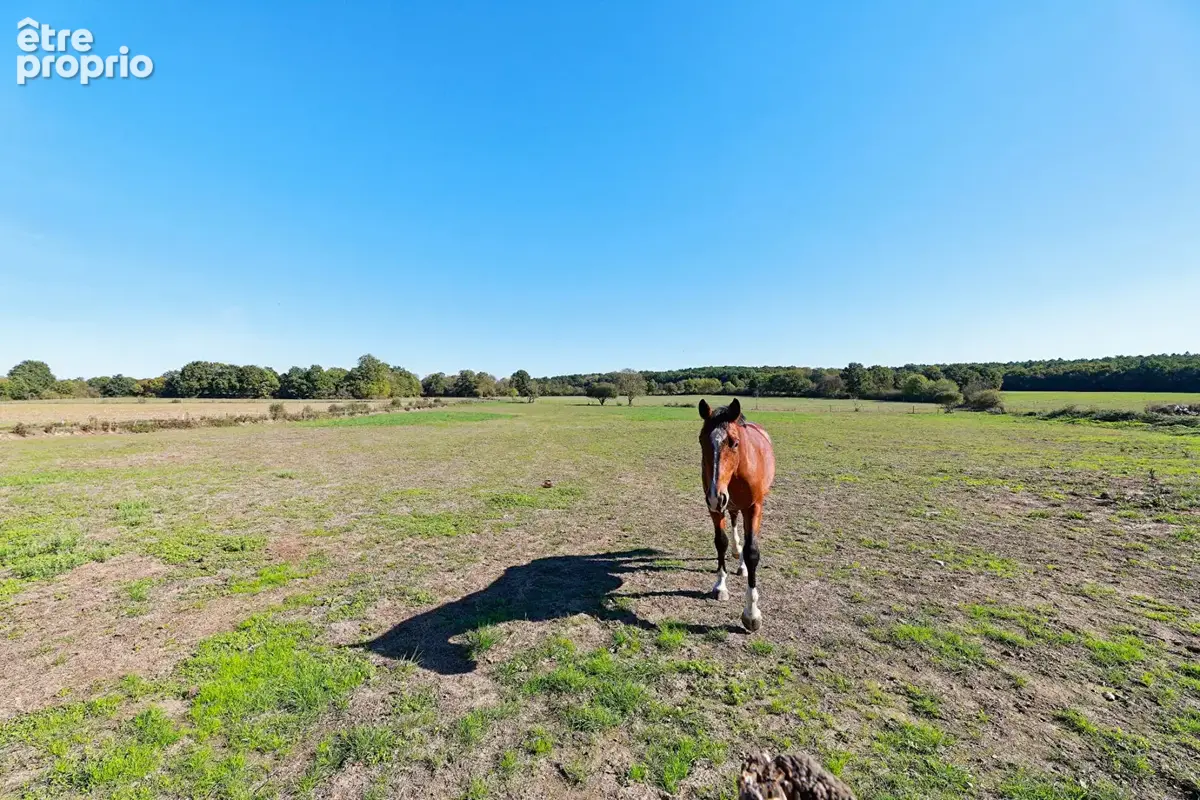Propriété à vendre Saint Mars De Coutais - photo 23