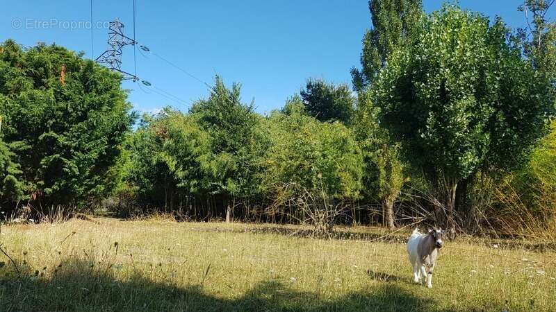 Terrain à VILLEPERDUE
