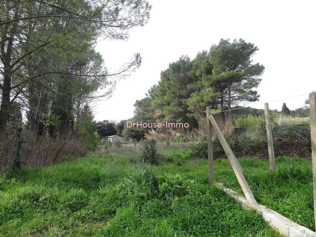 Terrain à BOISSET-ET-GAUJAC