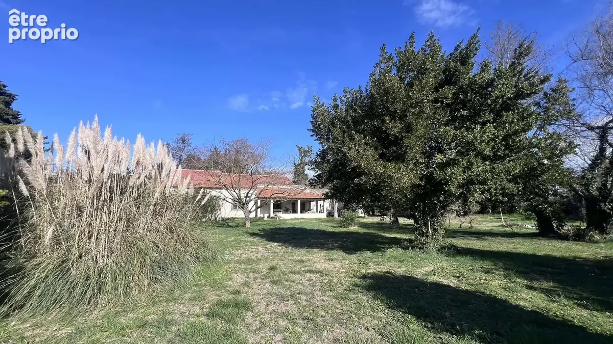 Maison en camargue 15000m2 de terrain - photo 14