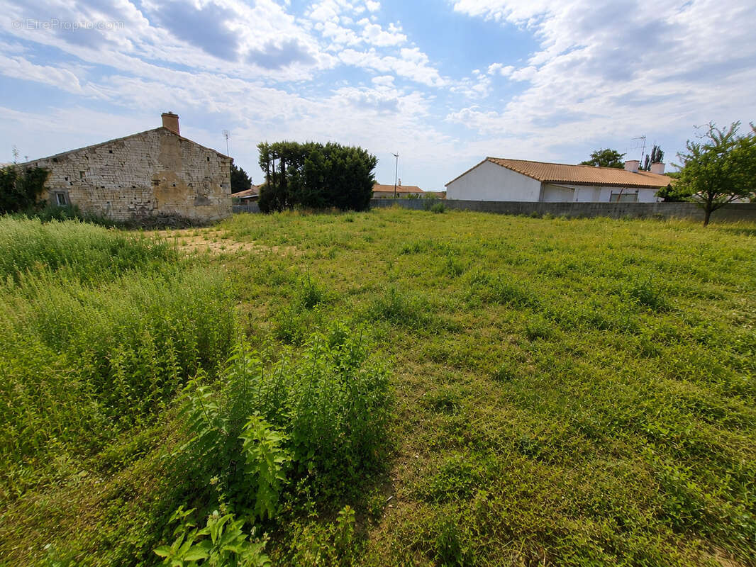 Terrain à SAINTE-GEMME-LA-PLAINE