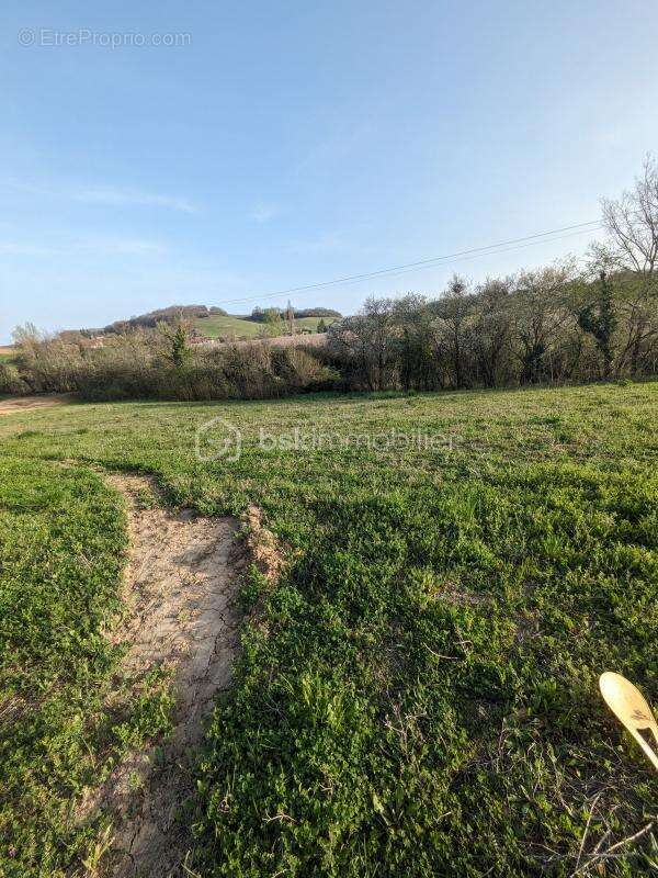 Terrain à AUCH