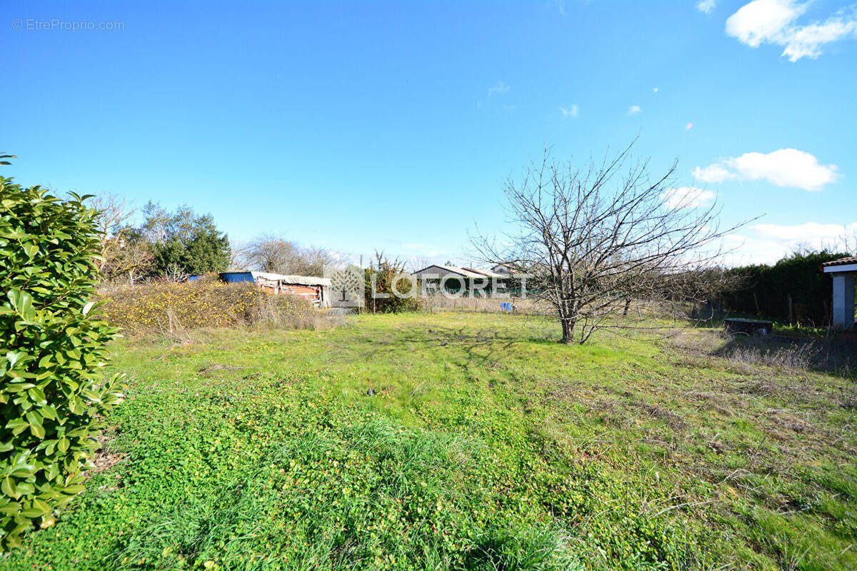 Terrain à MIREPOIX-SUR-TARN