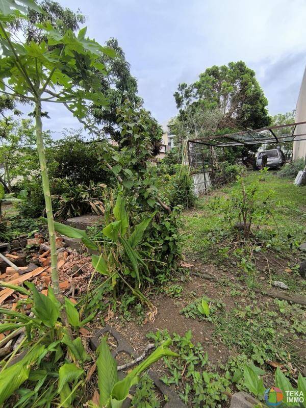 Terrain à SAINT-ANDRE