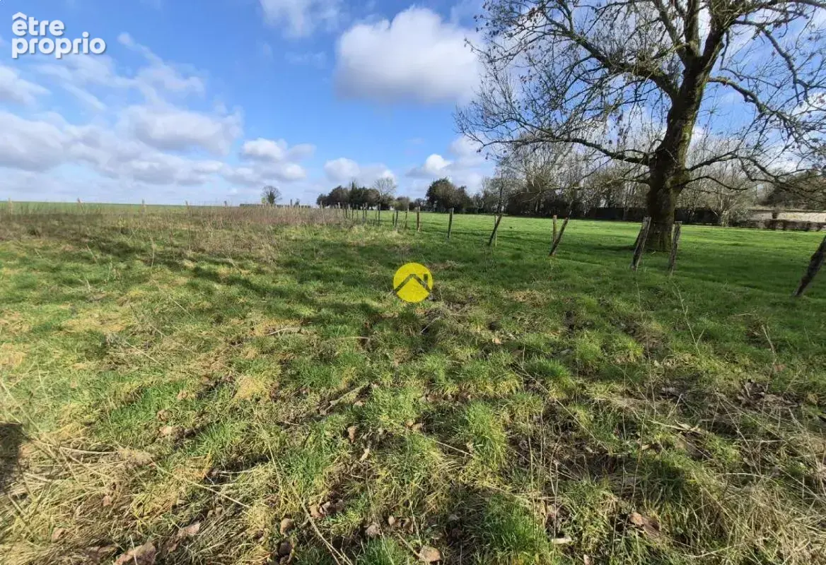 Terrain de 2 hectares - photo 8