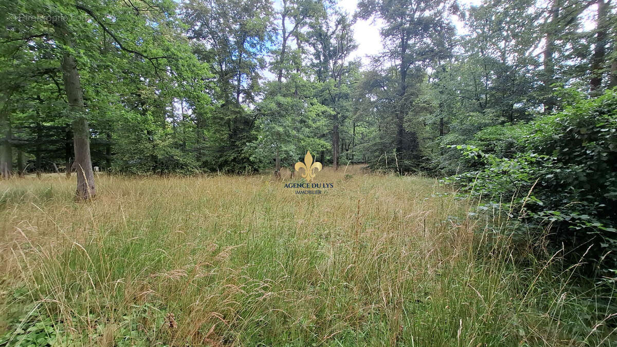 Terrain à LAMORLAYE