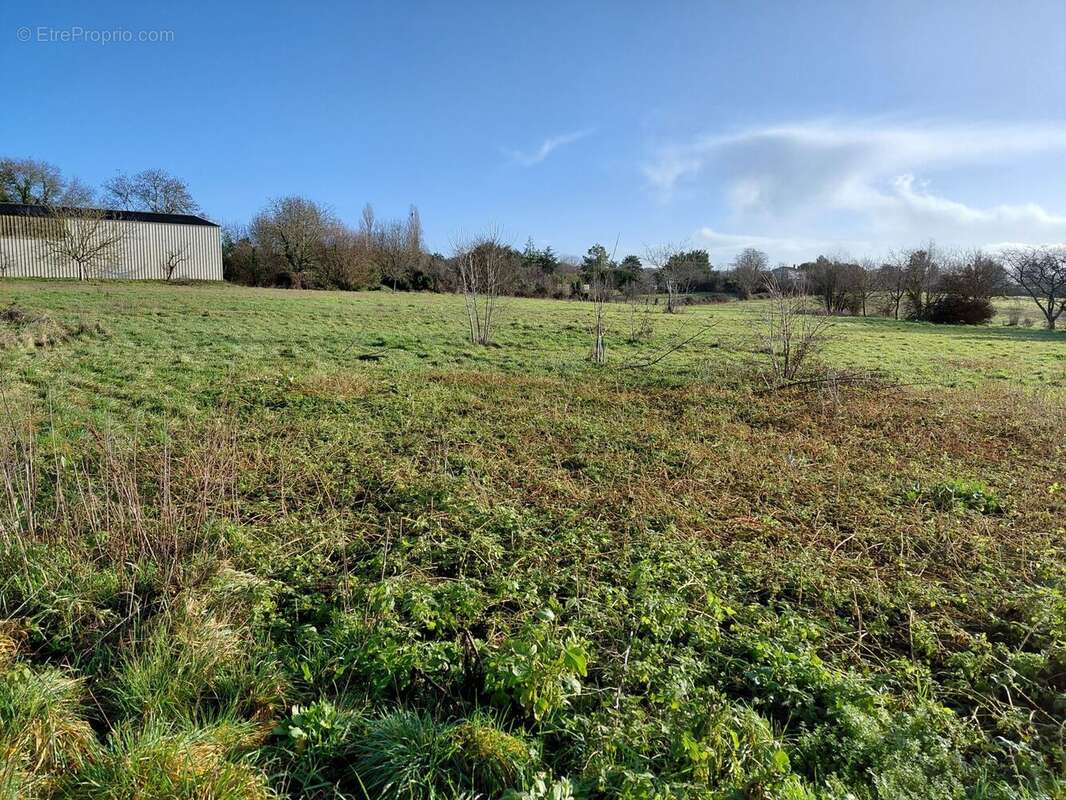 Terrain à PONT-L'ABBE-D'ARNOULT