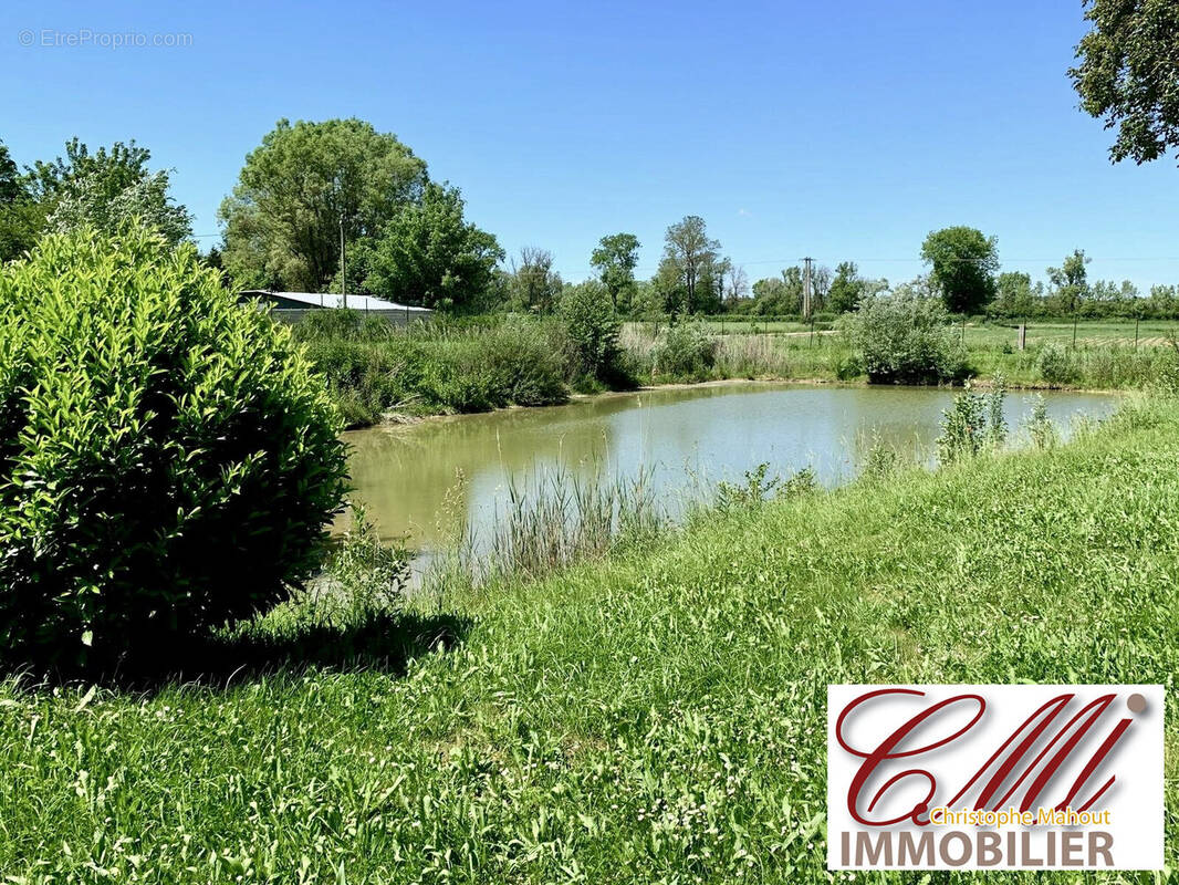 Terrain à SERMAIZE-LES-BAINS