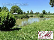 Terrain à SERMAIZE-LES-BAINS