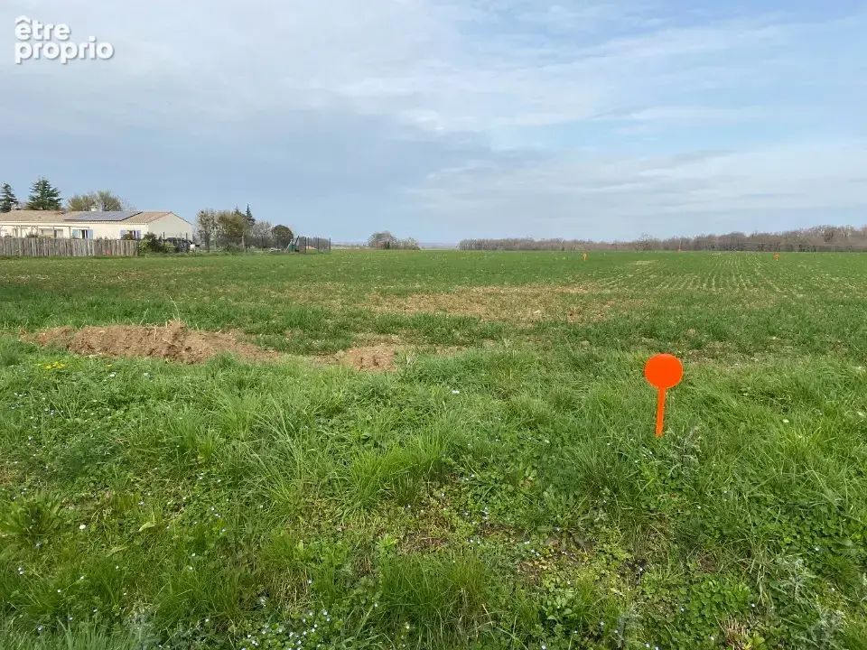 Terrain 753 m² à vendre à Plassay (17250) - photo 3