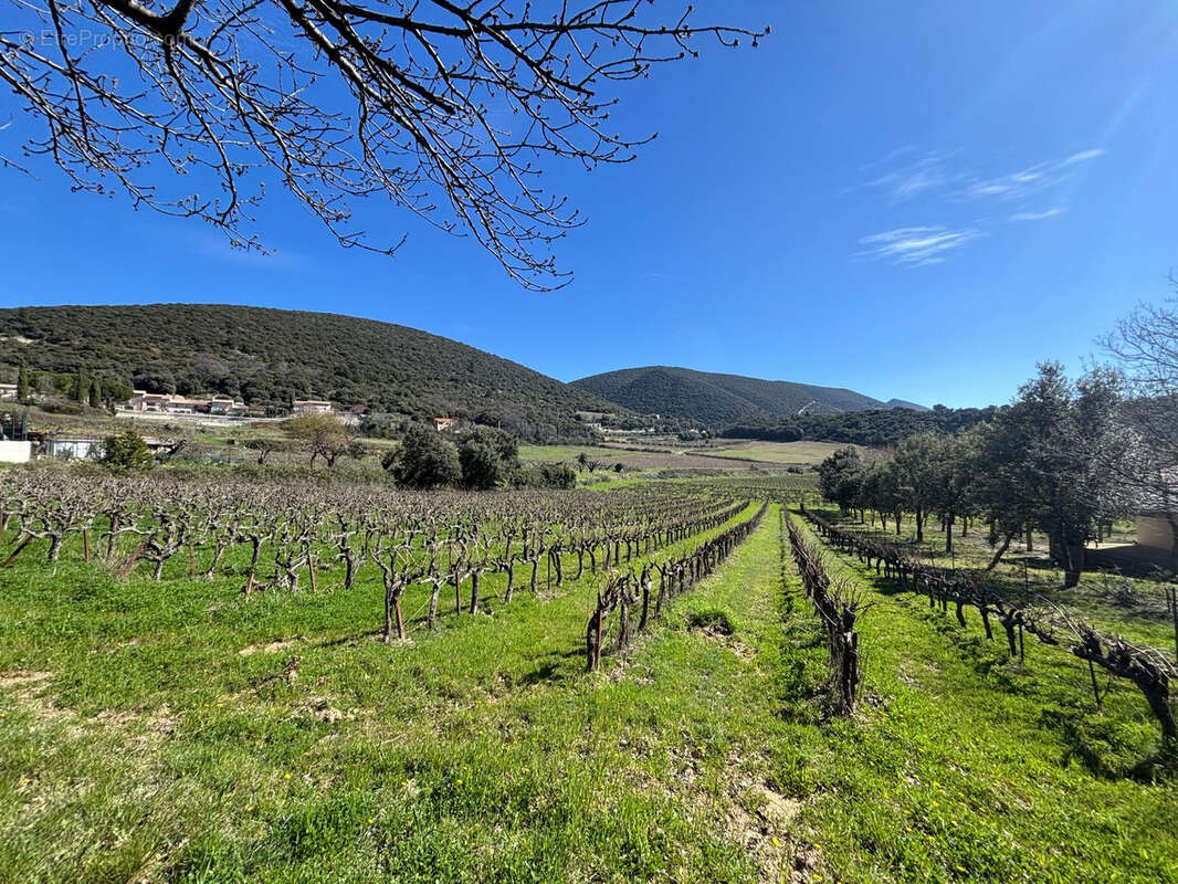 Terrain à ROUSSET-LES-VIGNES