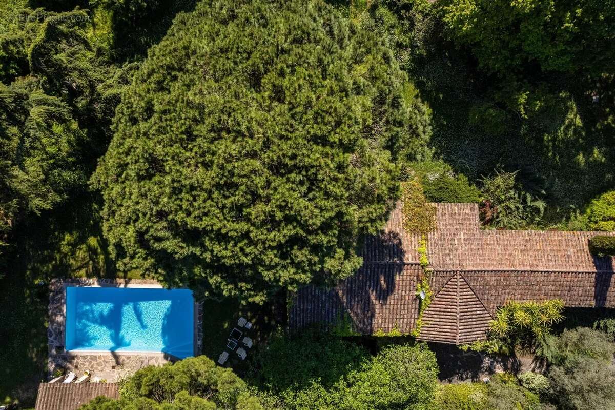 Maison à MOUGINS