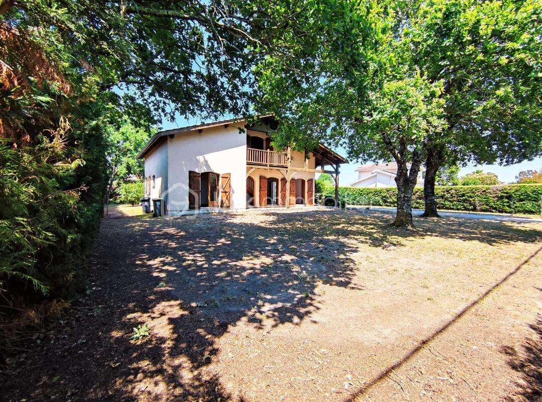 Maison landaise - photo 4