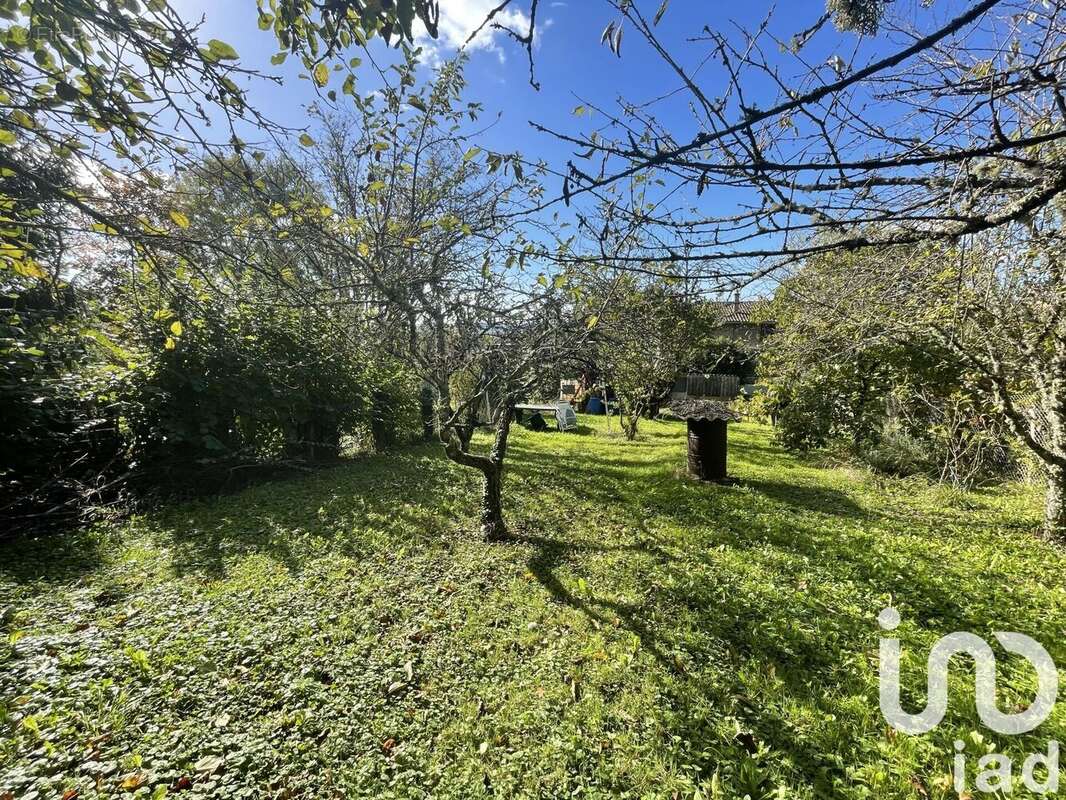 Photo 9 - Maison à JUJURIEUX