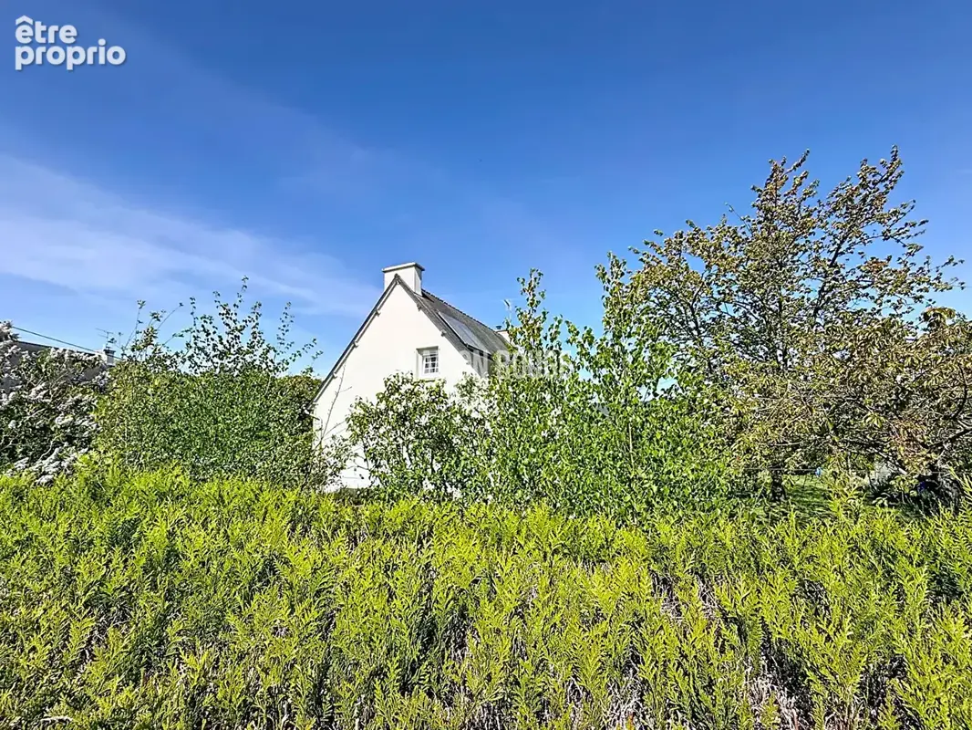 Maison familiale lumineuse avec vie de plain-pied, grand terrain et sous-sol complet - SAINT RIEUL - photo 3