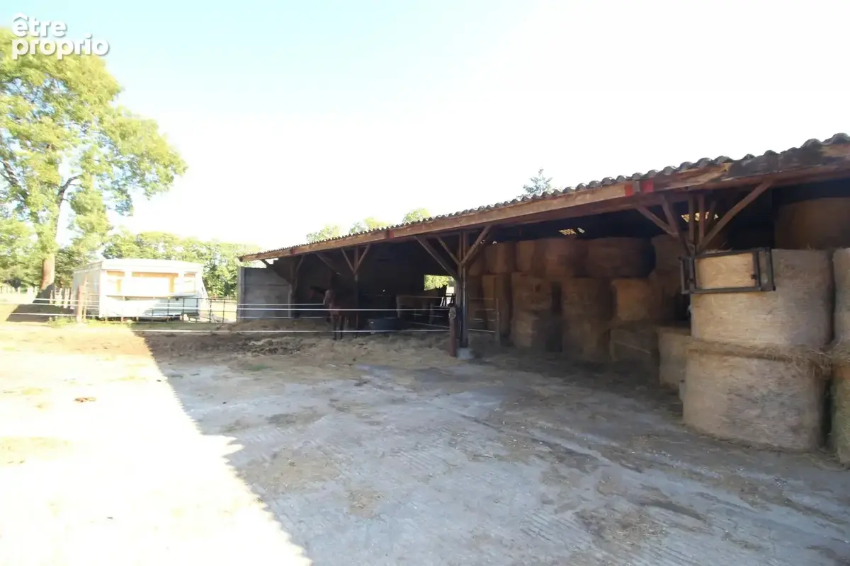 Maison de 3 chambres avec piscine, 6 hectares de terrain et installations équestres - photo 15