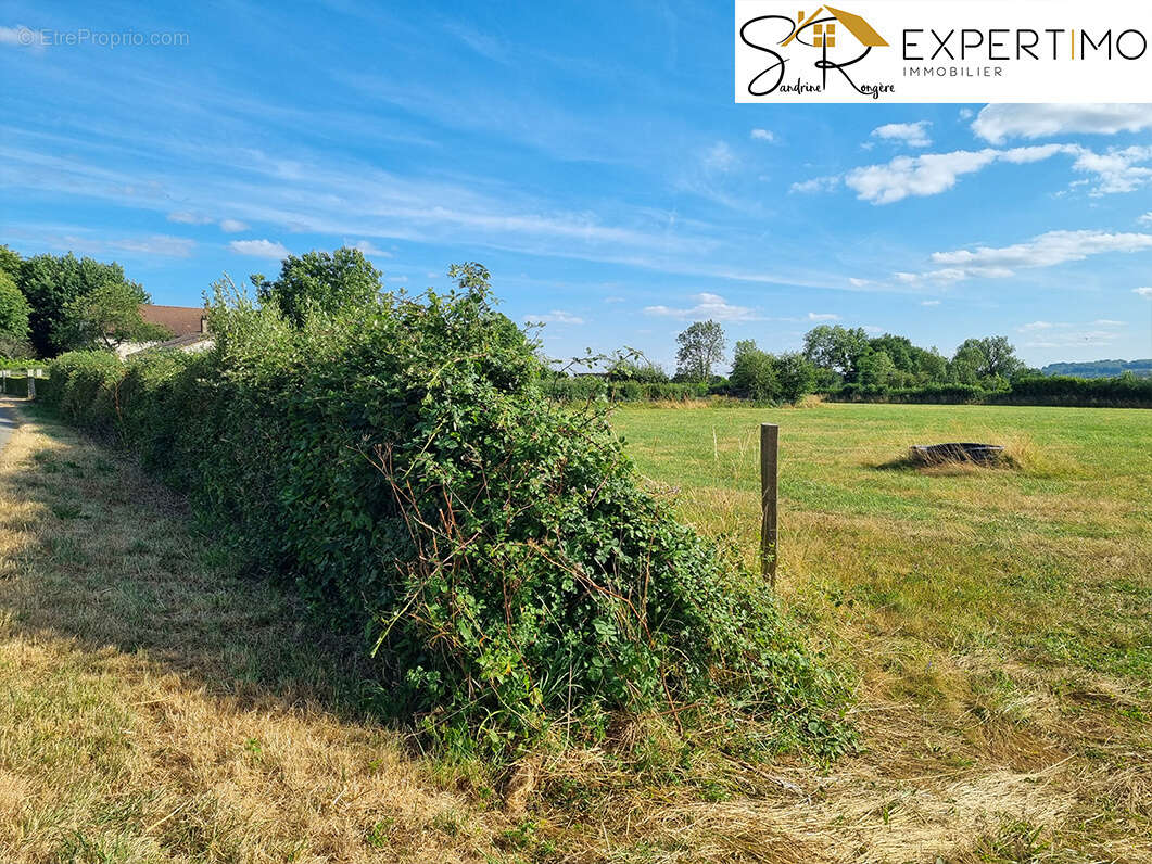 Terrain à vendre   Neuf-Église (63560)   À partir de 23 000 € - photo 2