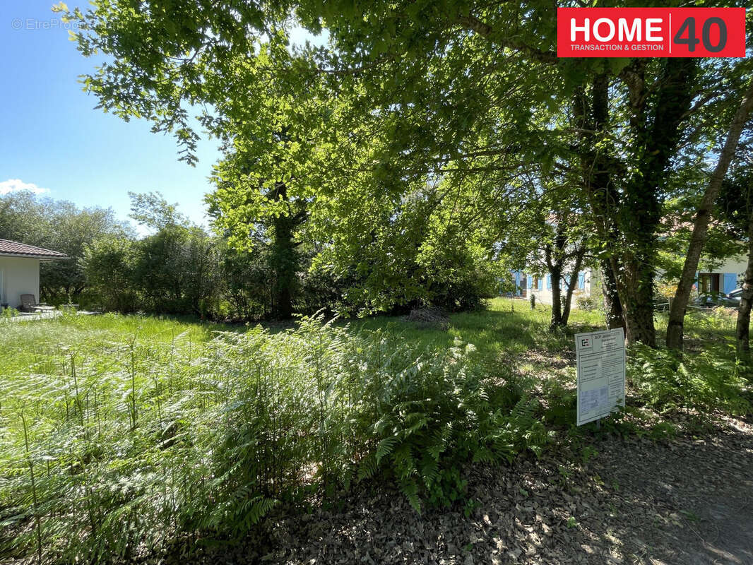 Terrain à SANGUINET