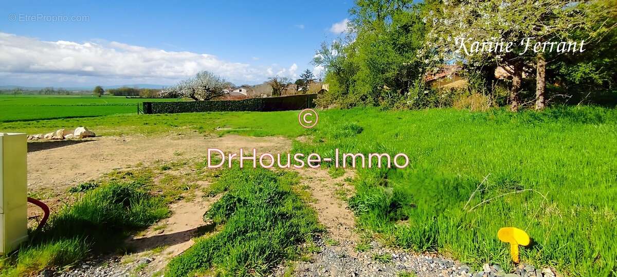 Terrain à SAINT-BERNARD