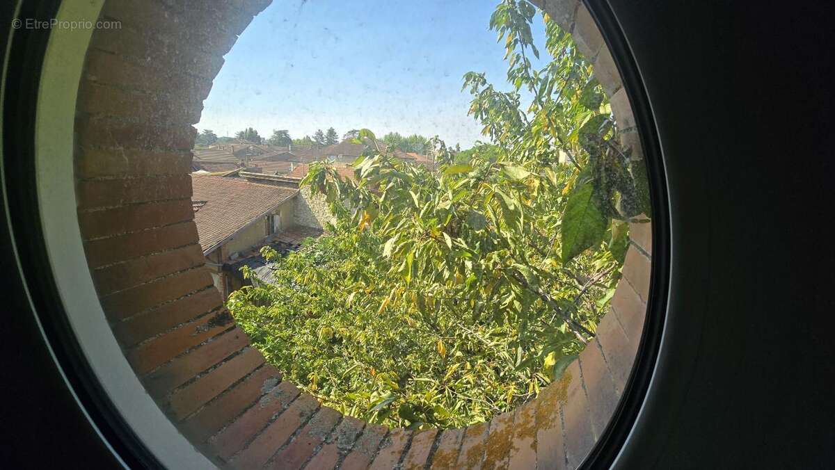 T4 en Duplex - photo 10