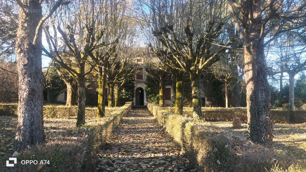 Maison à CORDES-SUR-CIEL