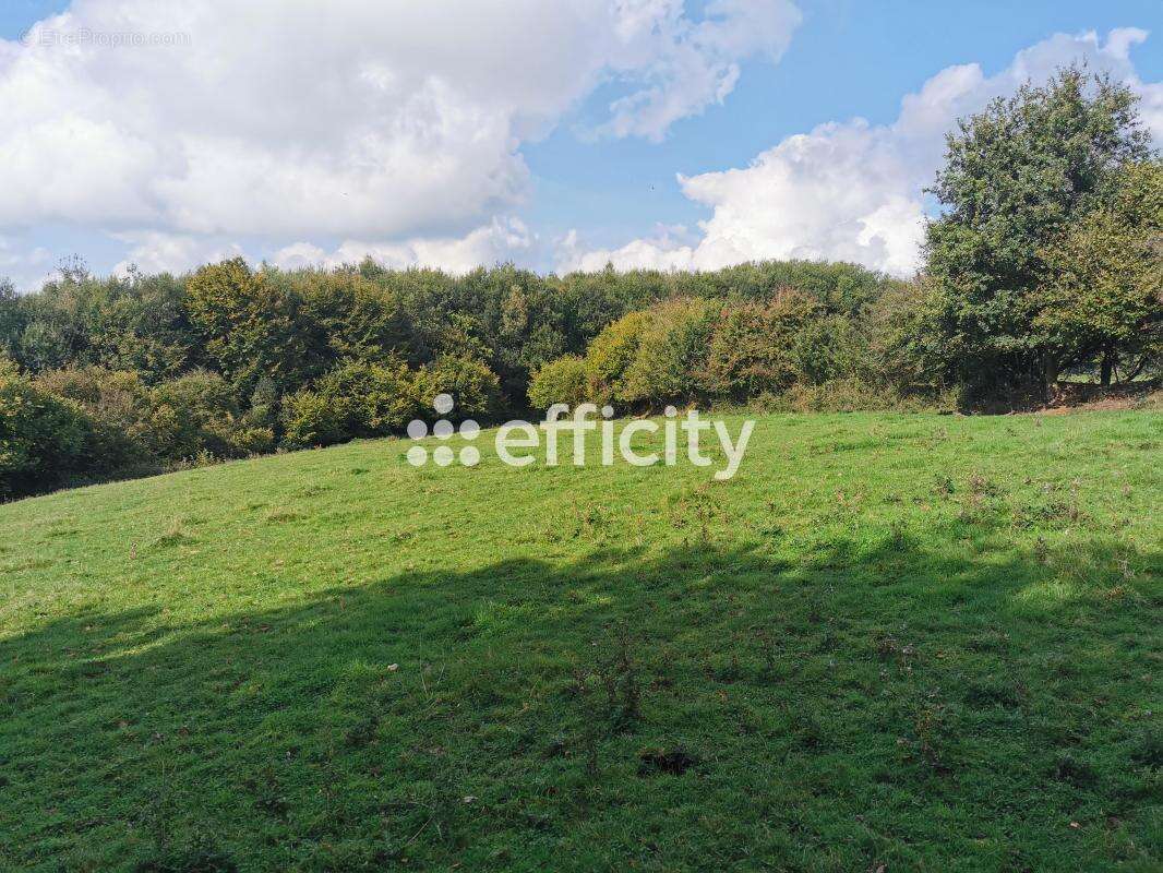 Maison à SAINT-SEVER-CALVADOS