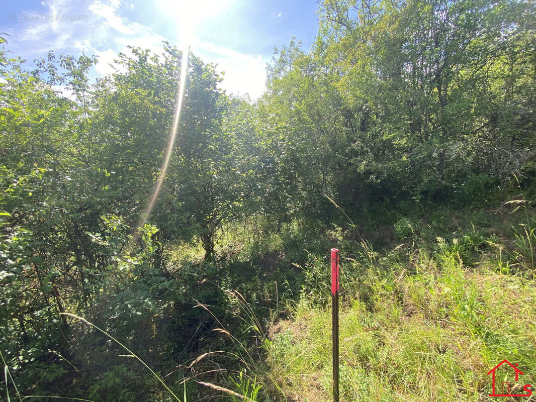 Terrain à DIEULOUARD